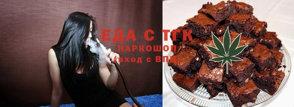 гидра Богородицк