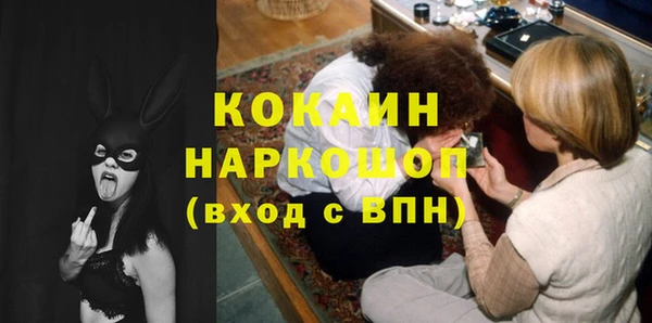 стаф Богданович