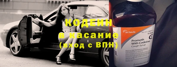 гидра Богородицк