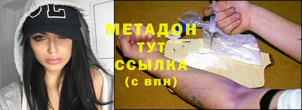гидра Богородицк