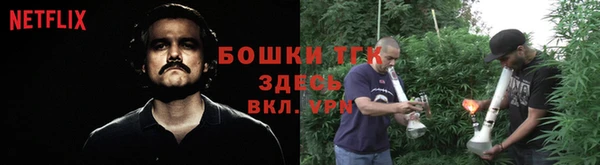 соль ск Бронницы