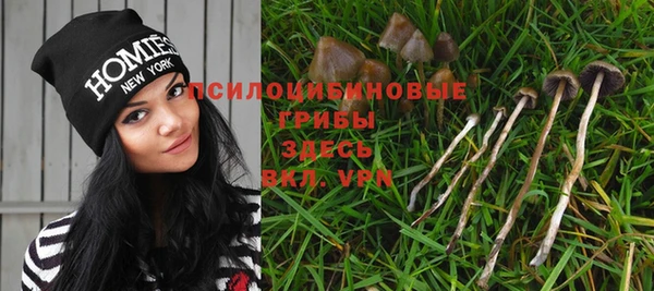 гидра Богородицк