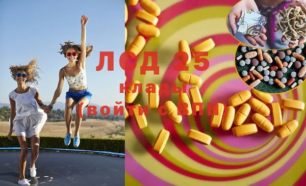 стаф Богданович
