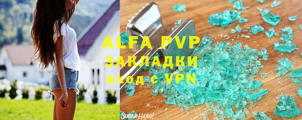 стаф Богданович