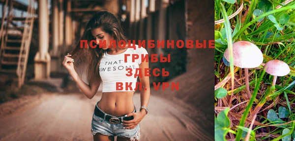 молекула духа Богородск
