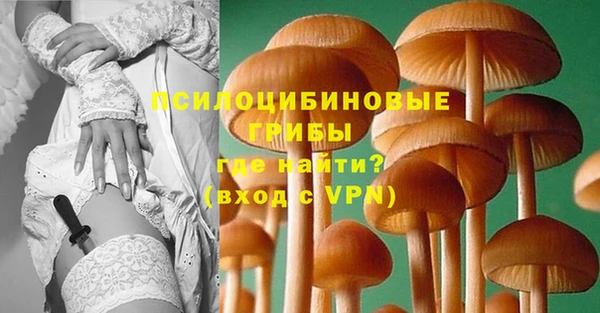 соль ск Бронницы