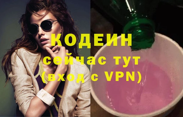 стаф Богданович