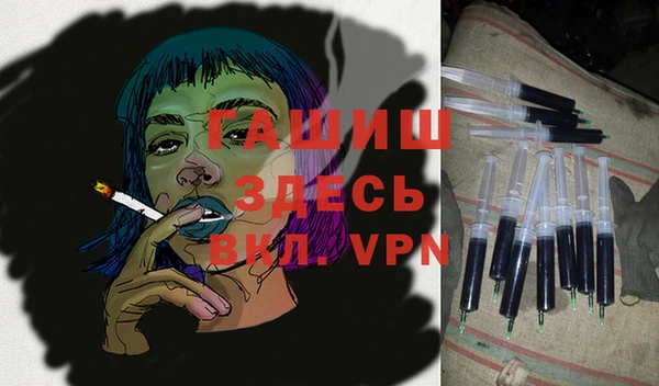 стаф Богданович