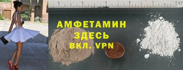 стаф Богданович