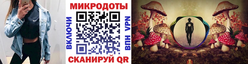 Галлюциногенные грибы Cubensis  kraken вход  Ветлуга 