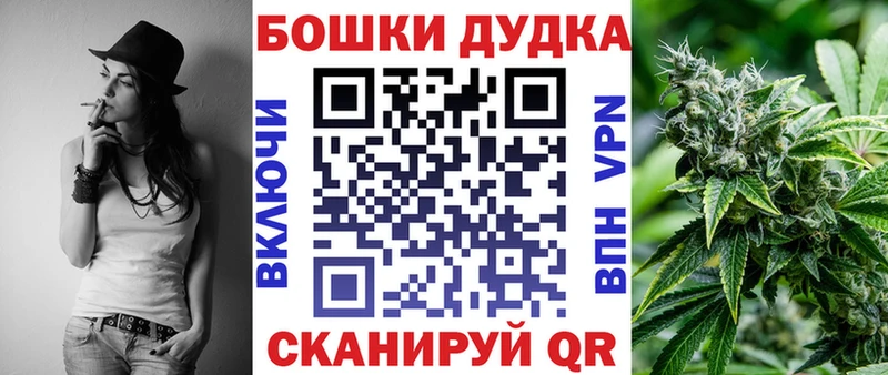 omg ссылки  даркнет сайт  Ветлуга  Конопля сатива 